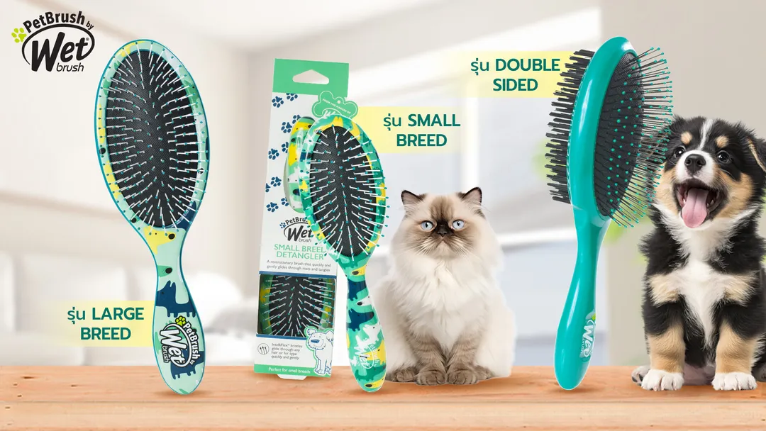 petbrush%E0%B8%A7%E0%B8%B4%E0%B8%98%E0%B8%B5%E0%B9%81%E0%B8%9B%E0%B8%A3%E0%B8%87%E0%B8%82%E0%B8%99%E0%B8%AA%E0%B8%B1%E0%B8%95%E0%B8%A7%E0%B9%8C%E0%B9%80%E0%B8%A5%E0%B8%B5%E0%B9%89%E0%B8%A2%E0%B8%87-116