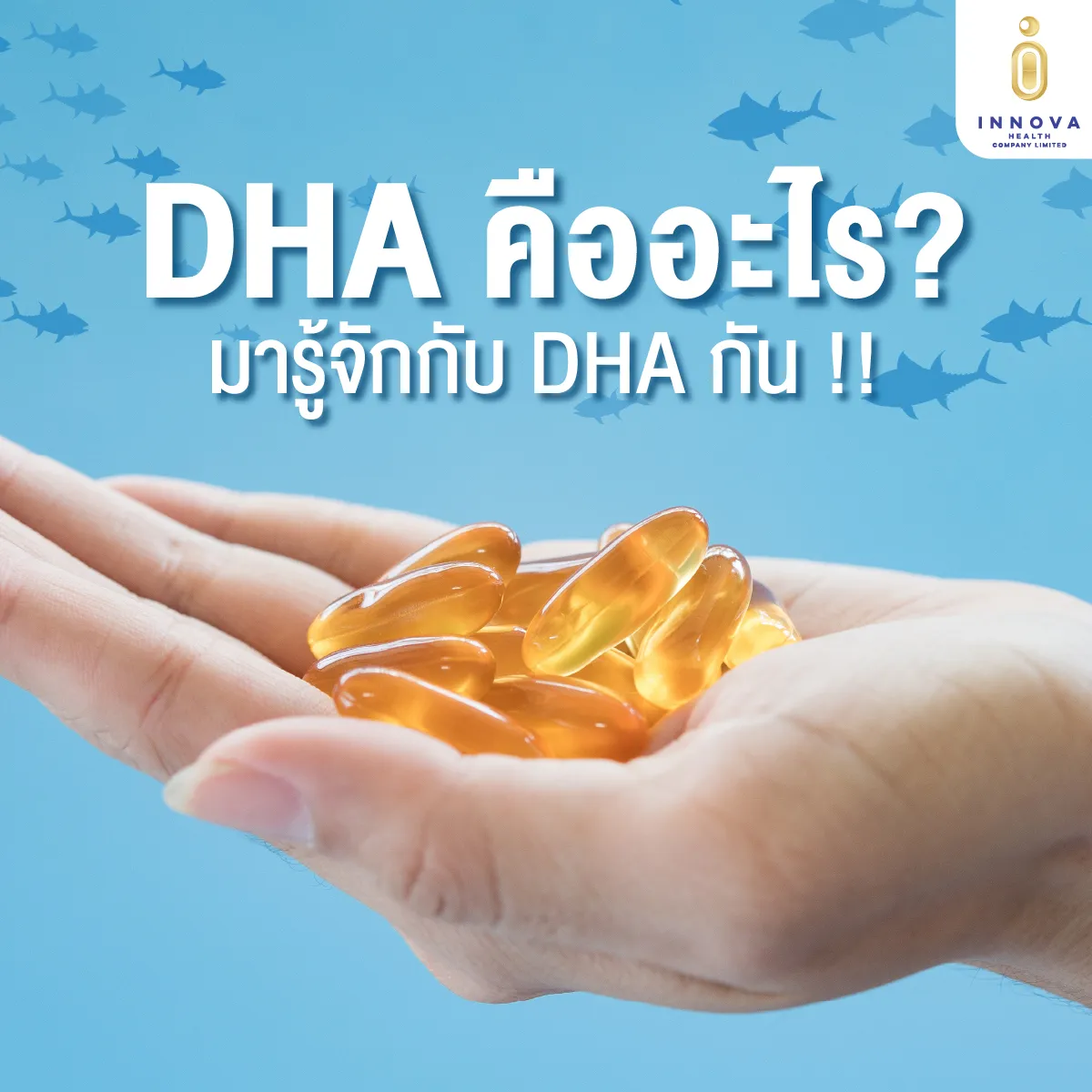01DHAคืออะไรมารู้จักกับDHAกัน-1000