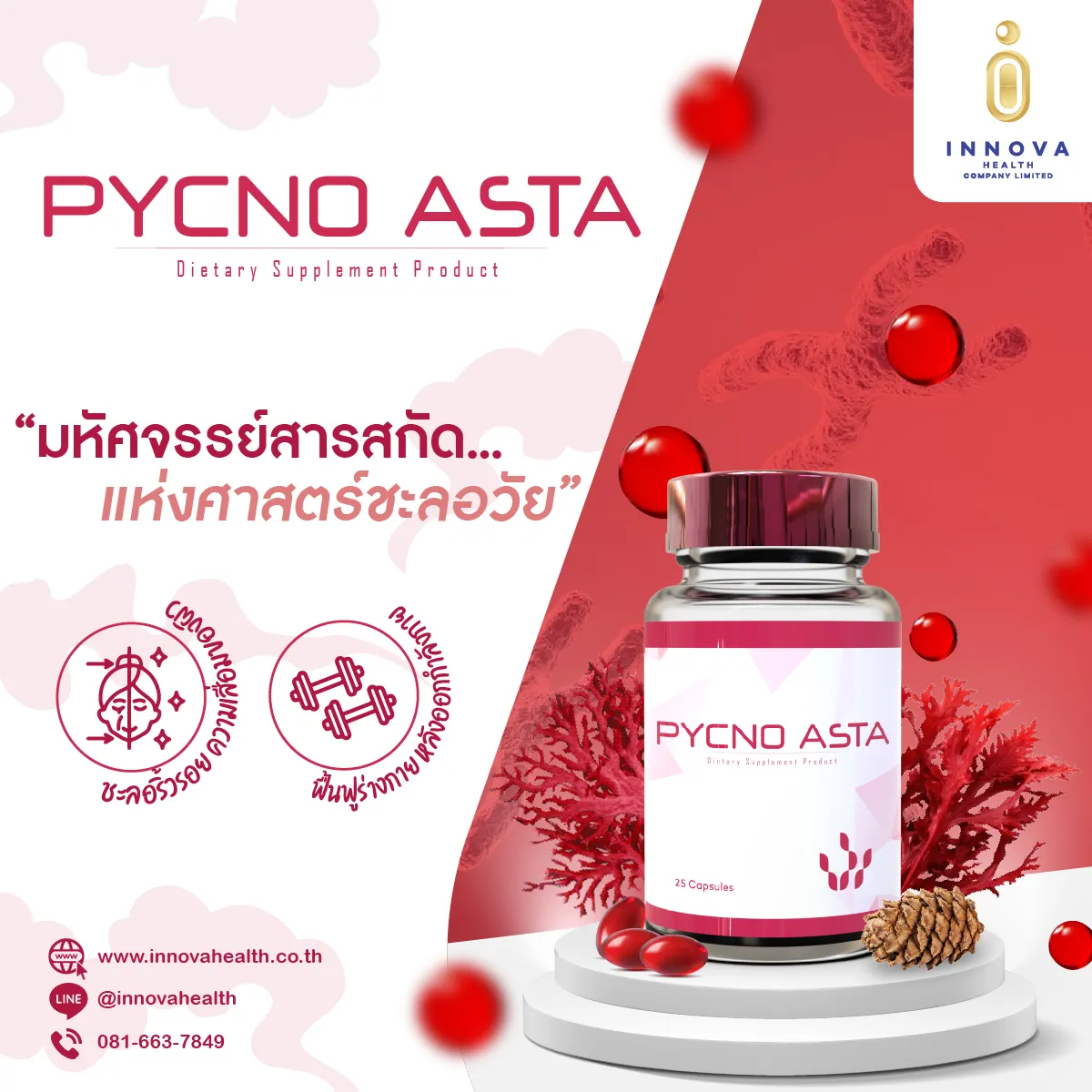 Pycnoasta01-100