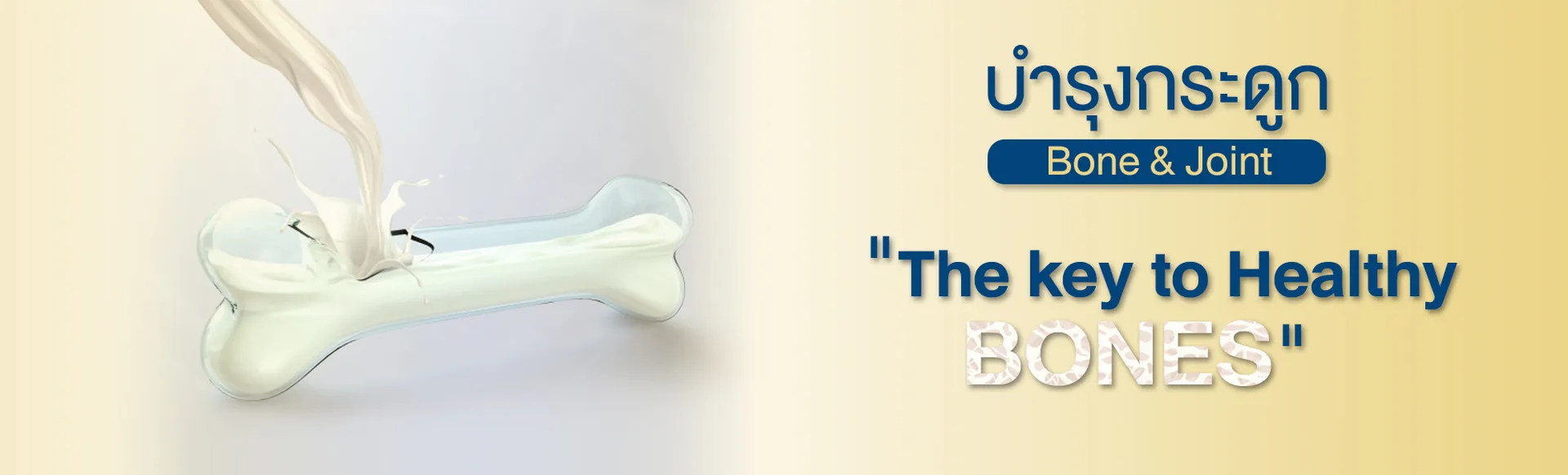 RecipeBoneandJoint