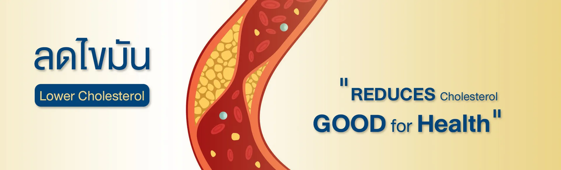RecipeLowcholesterol