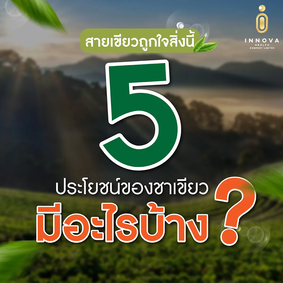สายเขียวถูกใจสิ่งนี้5ประโยชน์ของชาเขียว
