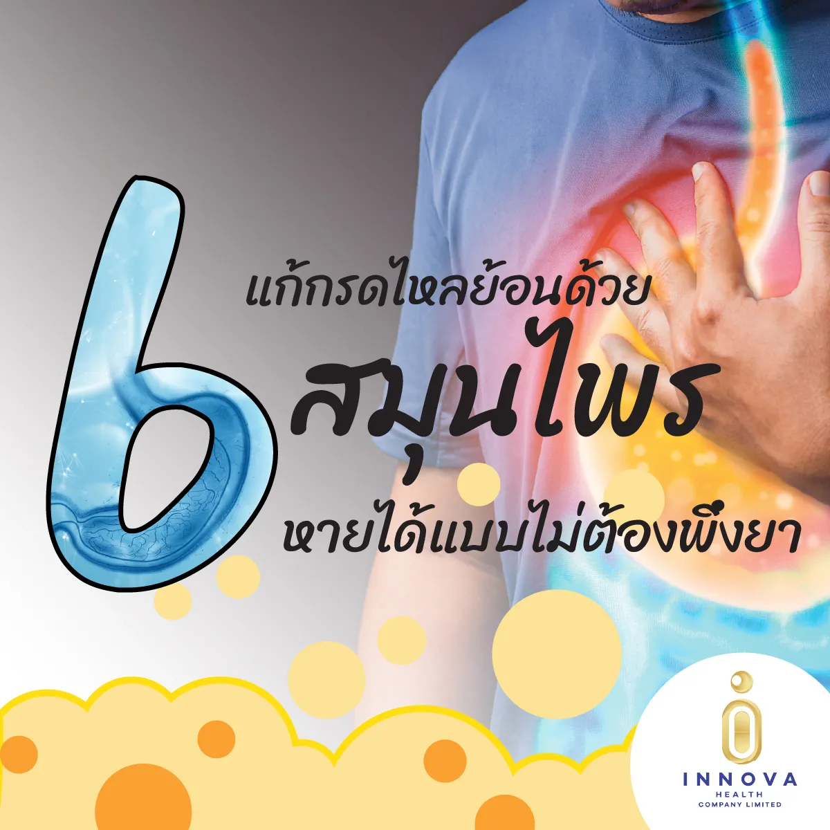แก้กรดไหลย้อนด้วย6สมุนไพรหายได้แบบไม่ต้