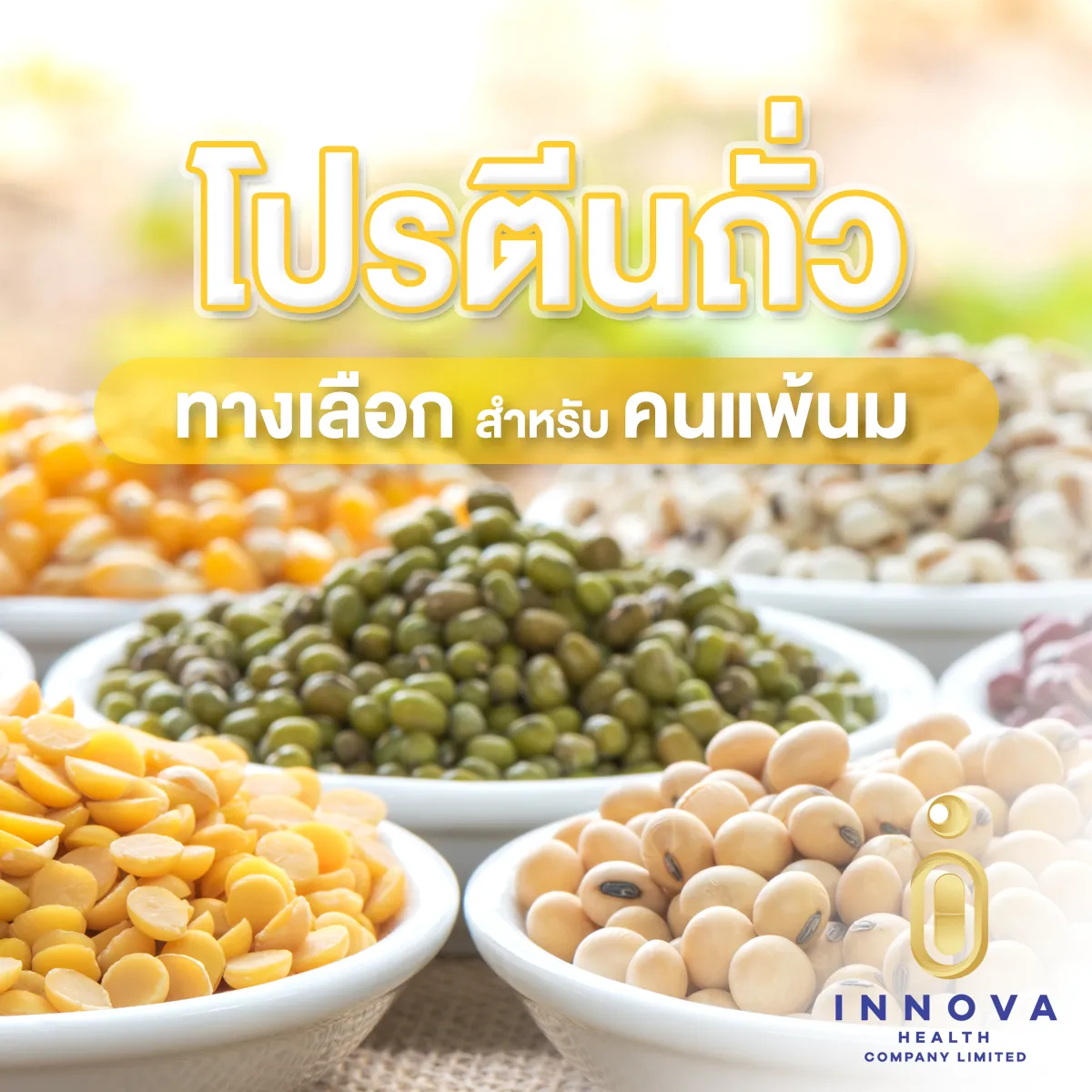 โปรตีนถั่วทางเลือกสำหรับคนแพ้นม