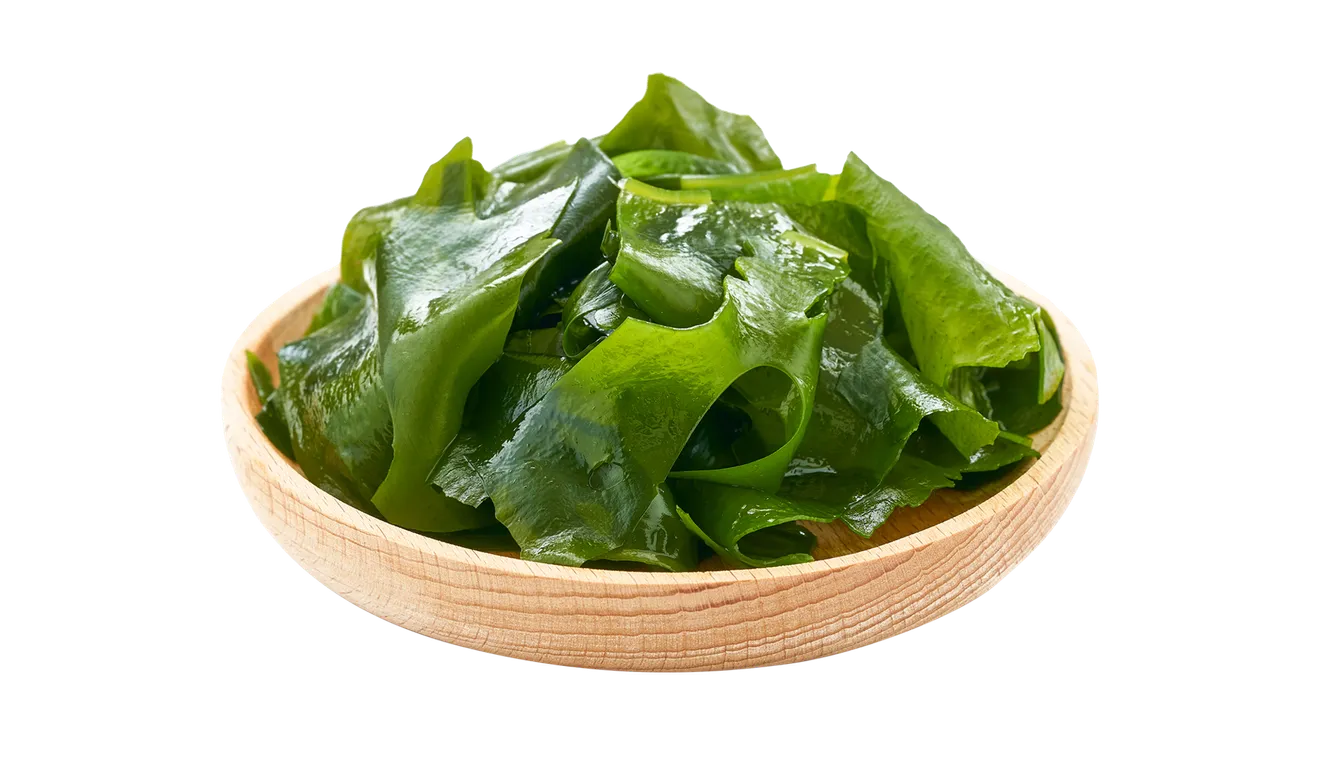 kelp-seaweed