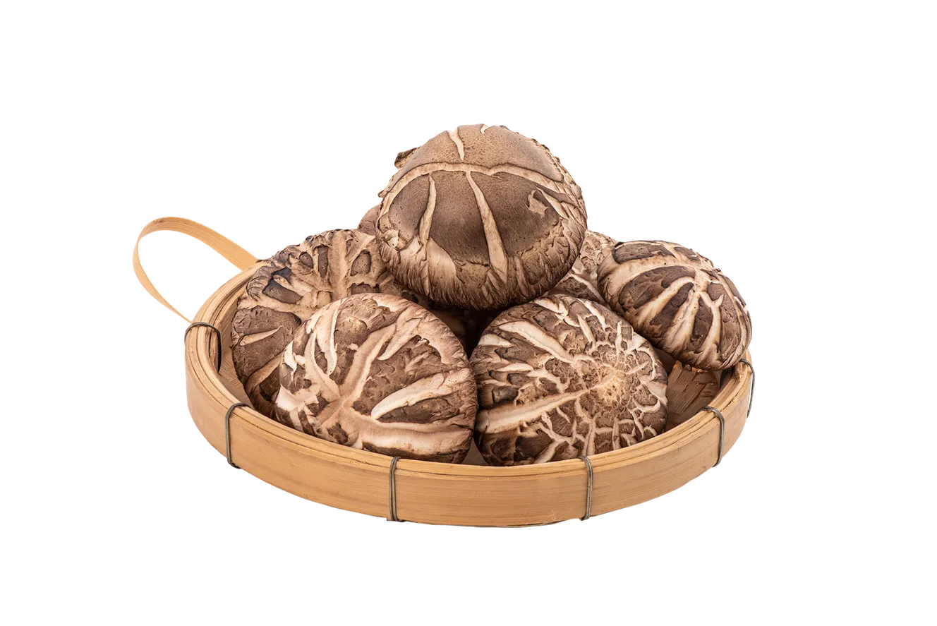shiitake