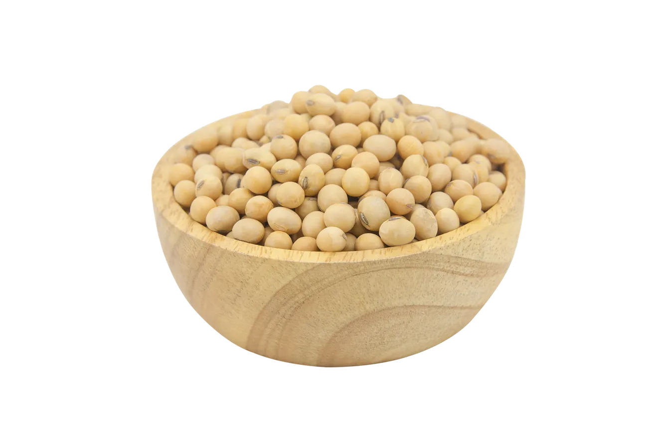 soy-beans