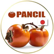 Pancil