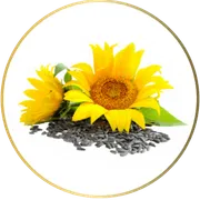 SunflowerLeicithin-80