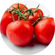 Tomato