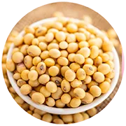 สารสกัดถั่วเหลือง(SoybeanExtract)
