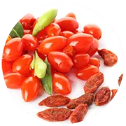 สารสกัดโกจิเบอร์รี่(GojiBerryExtract)