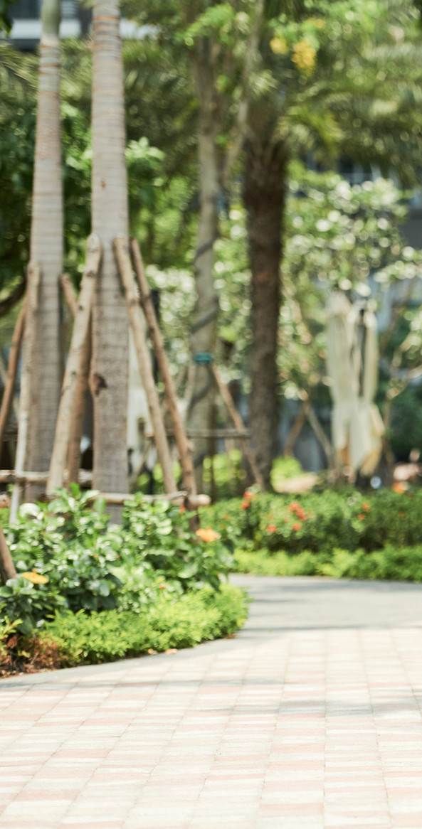 couple-jogging-park