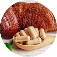 reishi