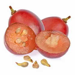 Grapeseed