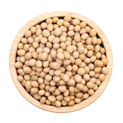 Soybean