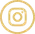 IconIGgold1