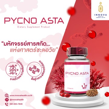 Pycnoasta01-100