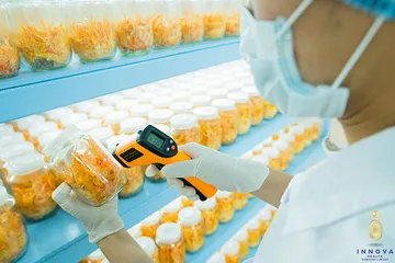 innovahealth10