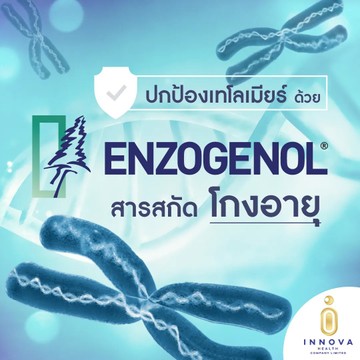 ปกป้องเทโลเมียร์ด้วยEnzogenolสารสกัดโกงอายุ