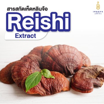 สารสกัดเห็ดหลินจือReishiExtract