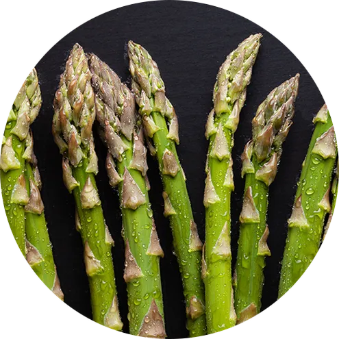 Asparagus