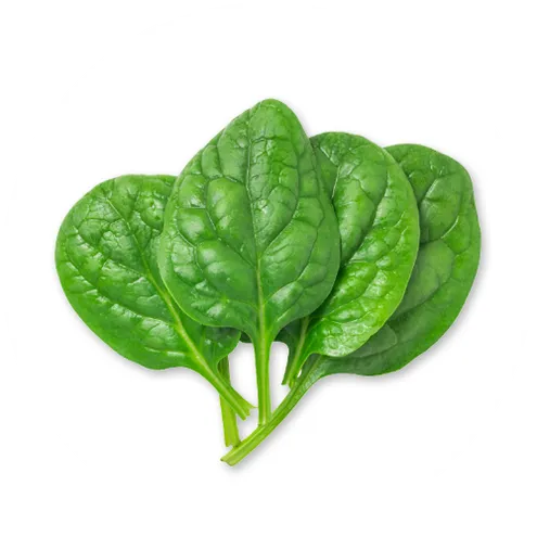 B2spinach