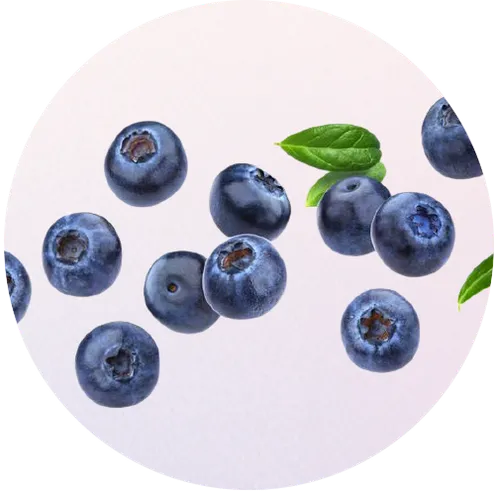 Bilberries