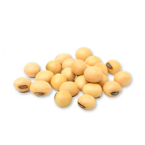 CoQ10soy