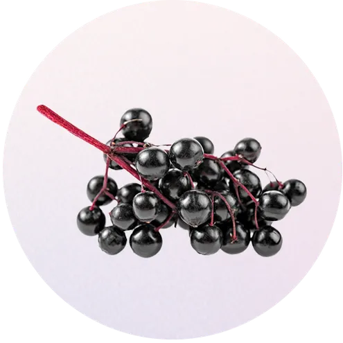 ElderBerries