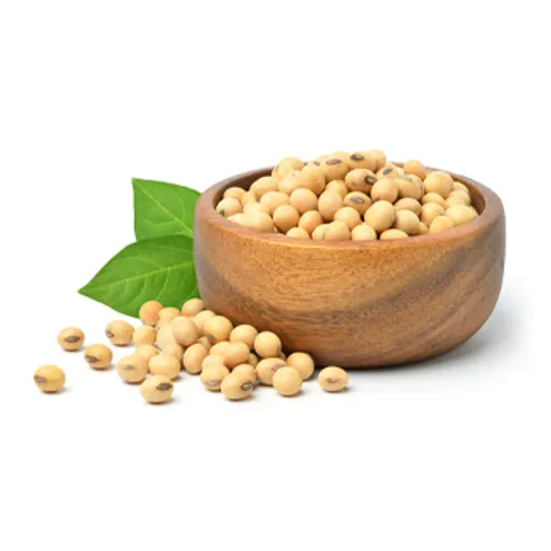 Soybeanmini