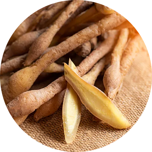 Turmeric