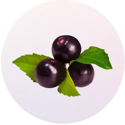 acai-berry
