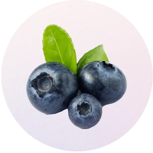 blueberry