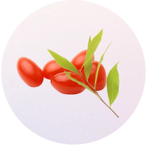 gojiberries