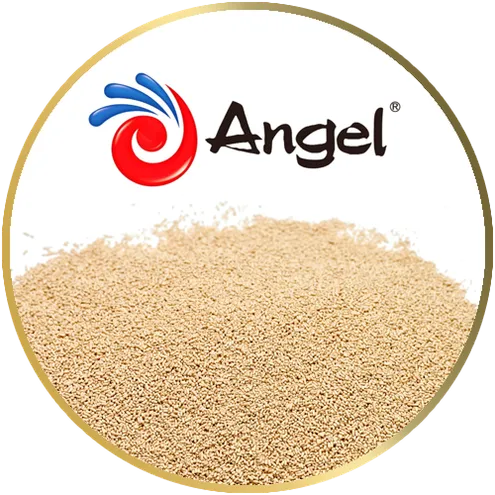 Angel Yeast beta glucan