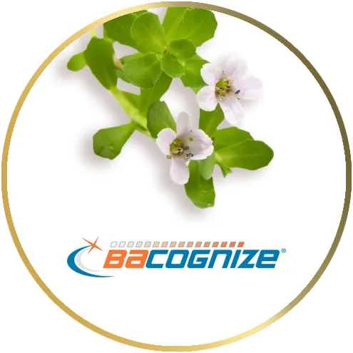 icon-bacog