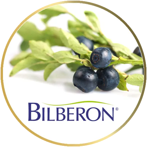bilberon
