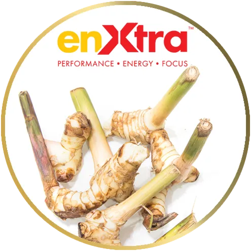 icon-enxtra