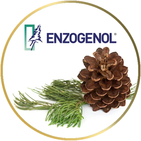 enzogenol