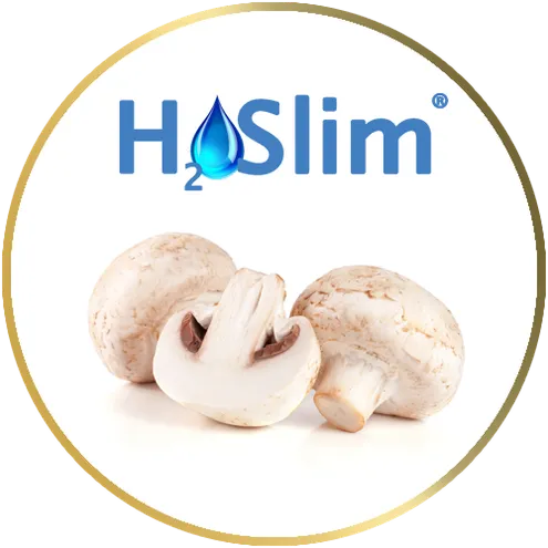 h2o slim