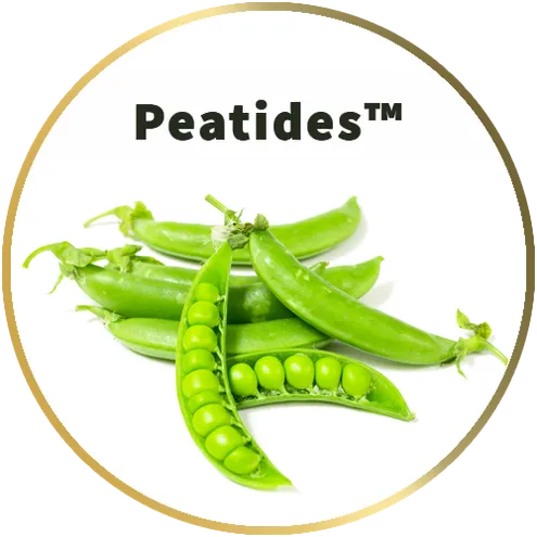 โปรตีนพืชใส จากถั่วลันเตา peatides