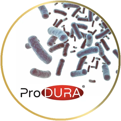 produra