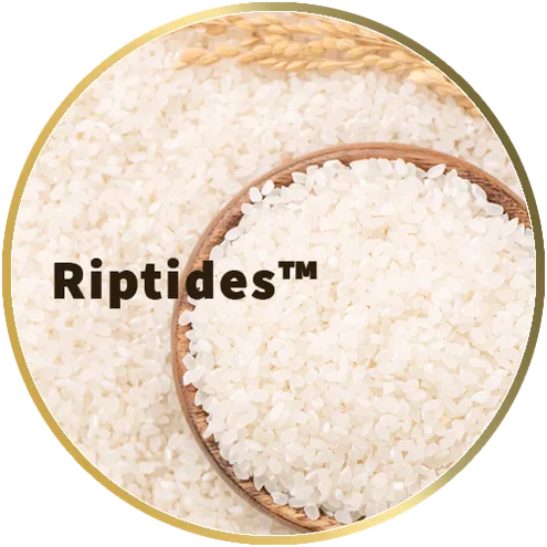 โปรตีนพืชใส จากข้าว riptides