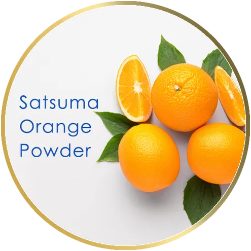 satsuma orange