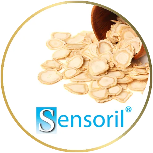 icon-sensoril