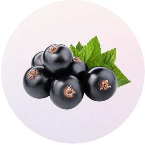 maquiberry