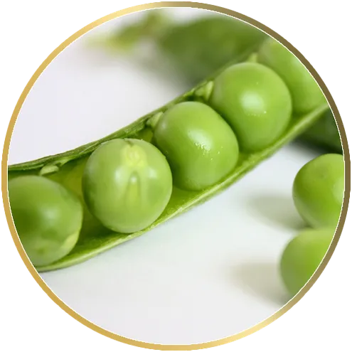 pea