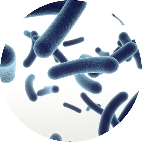 probio