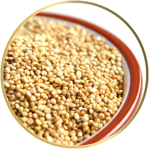 quinoa